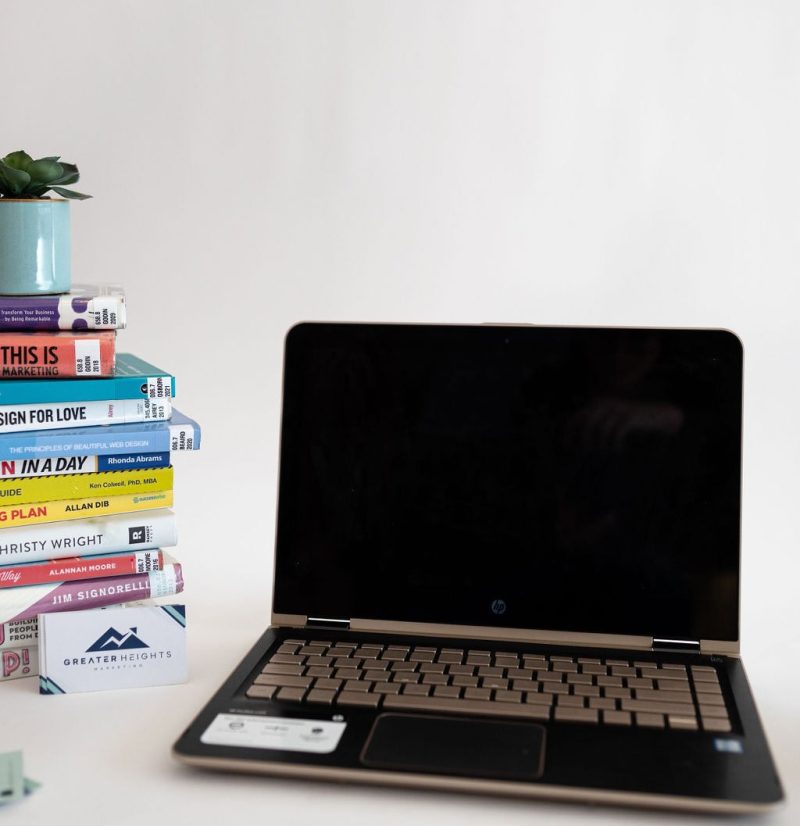 Laptop, stack of books and plant