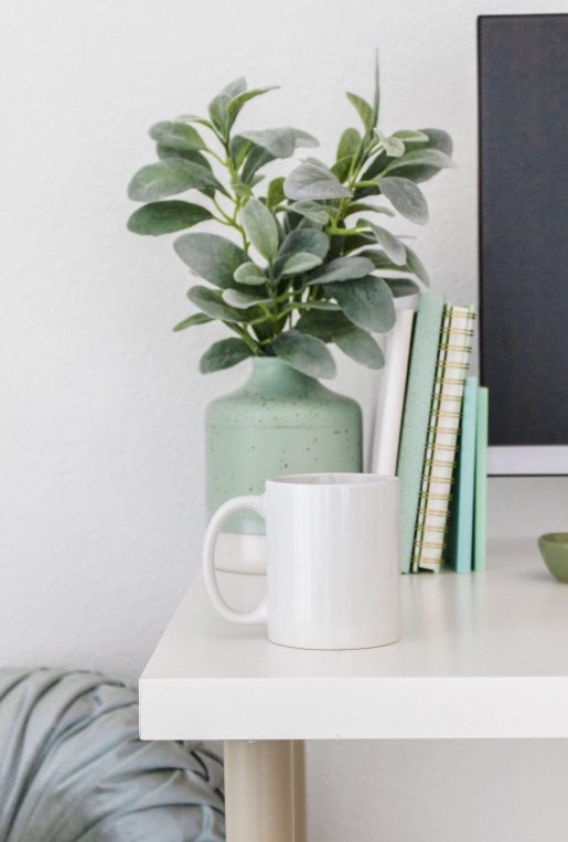 Potted Plant with mint notebook and desktop on desk