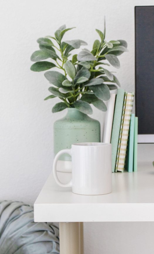 Potted Plant with mint notebook and desktop on desk