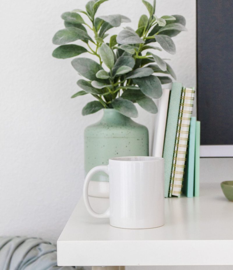 Potted Plant with mint notebook and desktop on desk