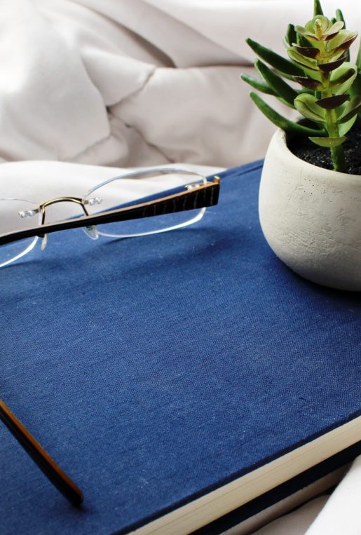 Navy Blue book with plant and glasses